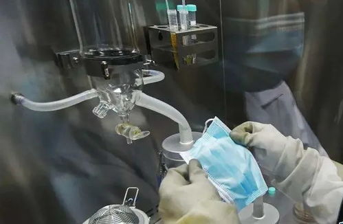 中国口罩业之殇 生产出口大国,前三品牌加起来却不到20 市场份额